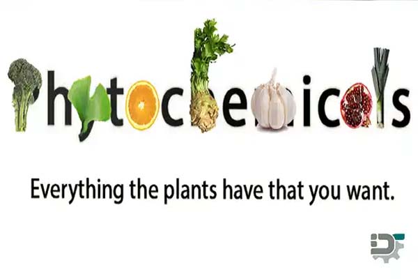 Types of phytochemicals